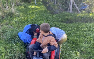Natuur kan ‘werkelijk fantastische’ effecten hebben op de gezondheid: zelfs een bosgeur in huis helpt al 