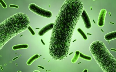 Hygiene is gevaarlijk voor de gezondheid