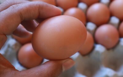Choline, essentieel en onvervangbaar – ABC Gezondheid