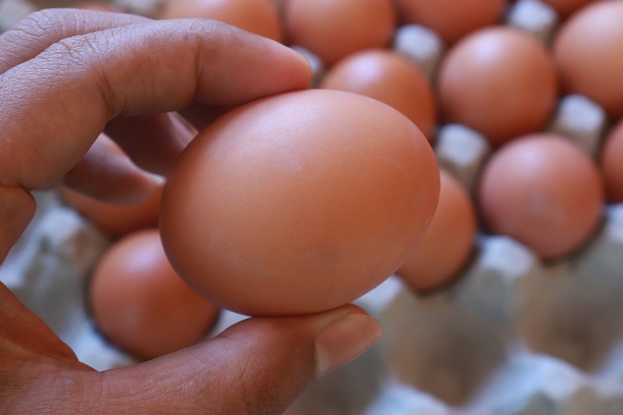 Photo by mufidpwt eggs, 4k wallpaper 1920x1080, egg shells, nutritious, desktop backgrounds, windows wallpaper, mac wallpaper, free wallpaper, beautiful wallpaper, free background, chicken, livestock products, hd wallpaper, wallpaper 4k, full hd wallpaper, 4k wallpaper, wallpaper hd, laptop wallpaper, cool backgrounds, background